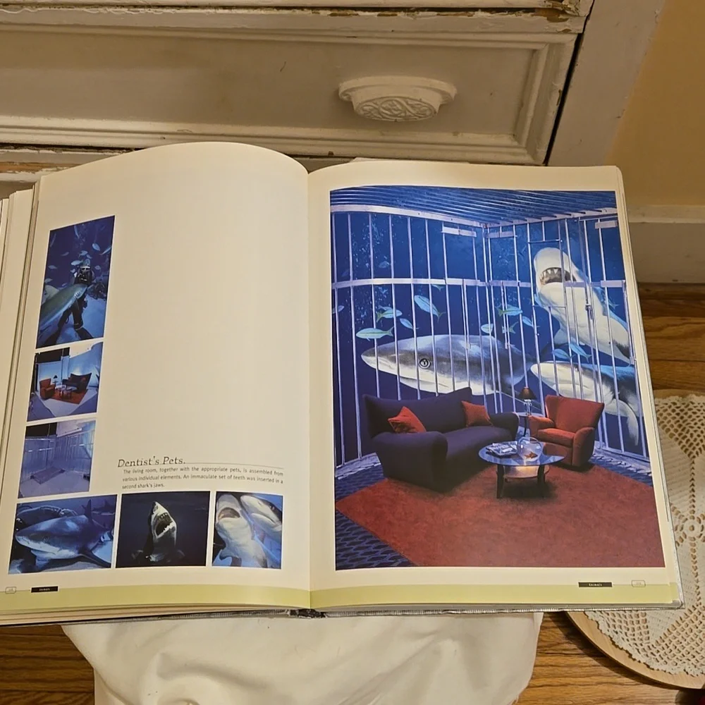 Paintbox No. 2 by Andrea Fitzner and Albert Winkler art book - Picture 8 of 13